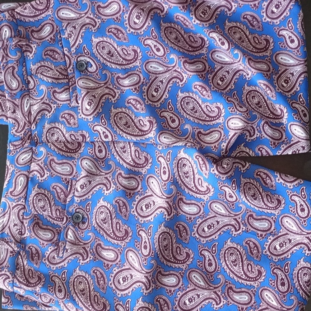 Brand New Banana Republic Paisley Print Blue Pants - Picture 4 of 6
